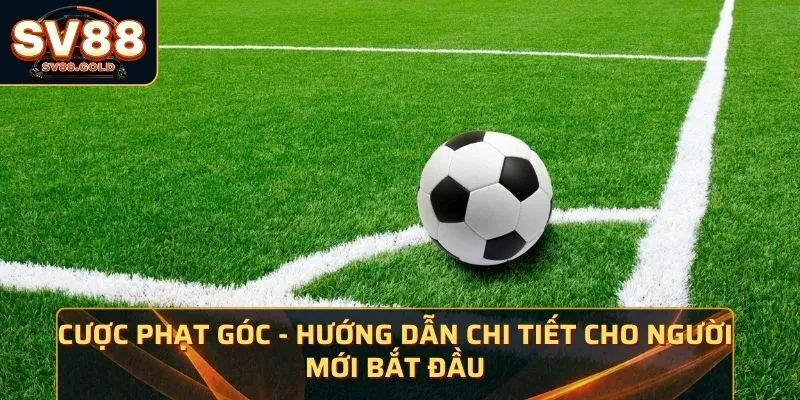 Cược Phạt Góc - Hướng Dẫn Chi Tiết Cho Người Mới Bắt Đầu