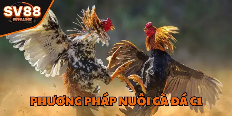 phuong phap nuoi ga da c1